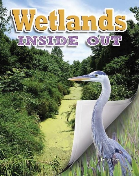 Wetlands Inside Out