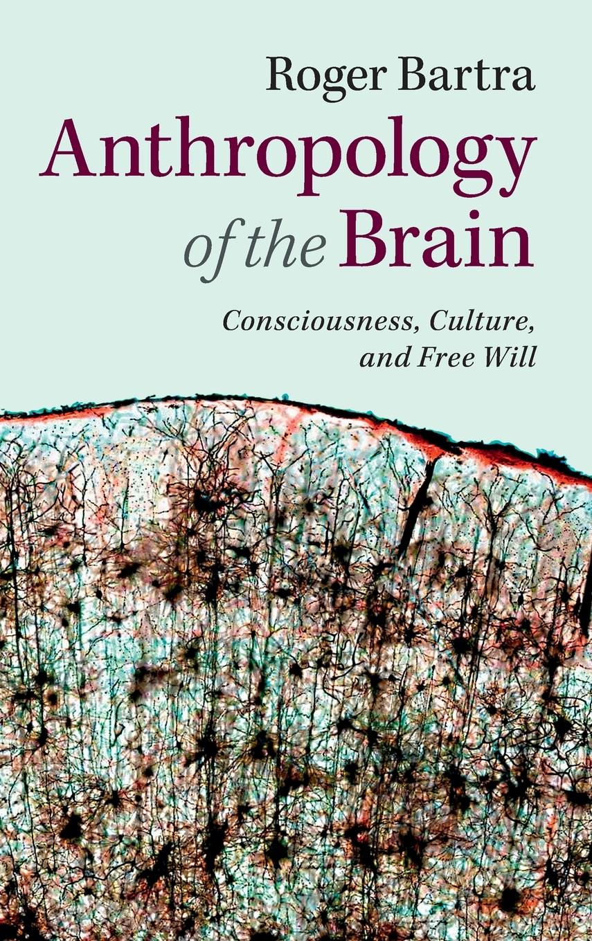 Anthropology of the Brain