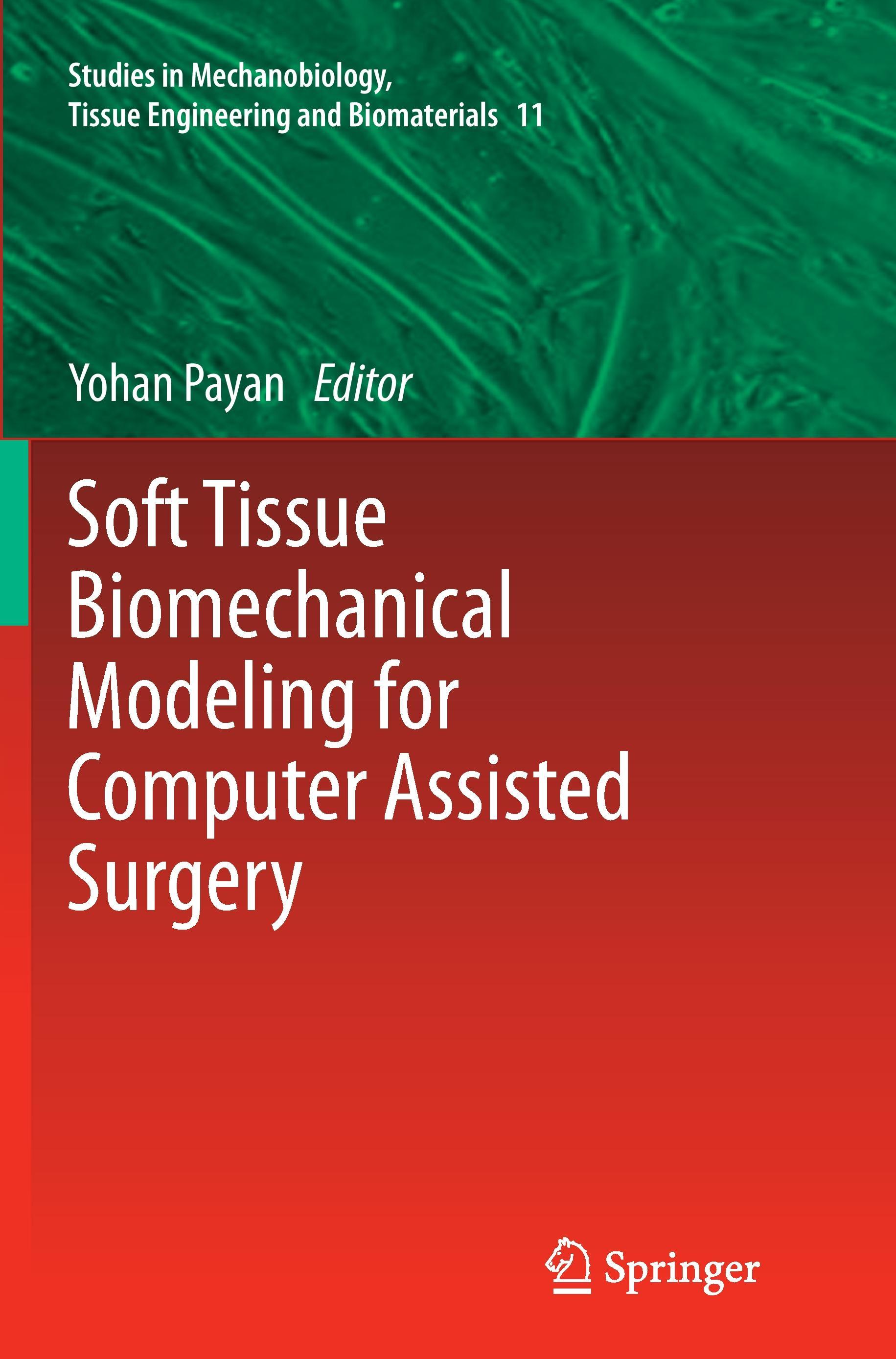 Soft Tissue Biomechanical Modeling for Computer Assisted Surgery