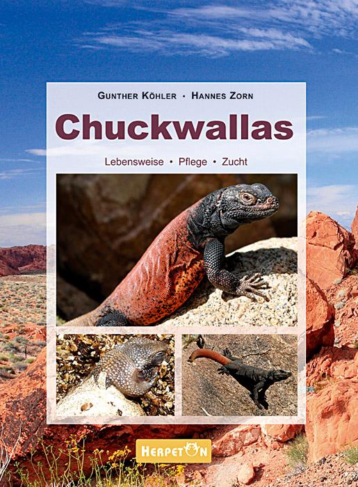 Chuckwallas