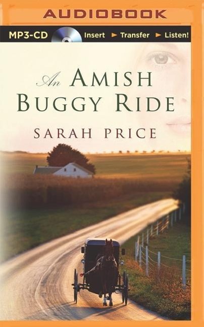 An Amish Buggy Ride