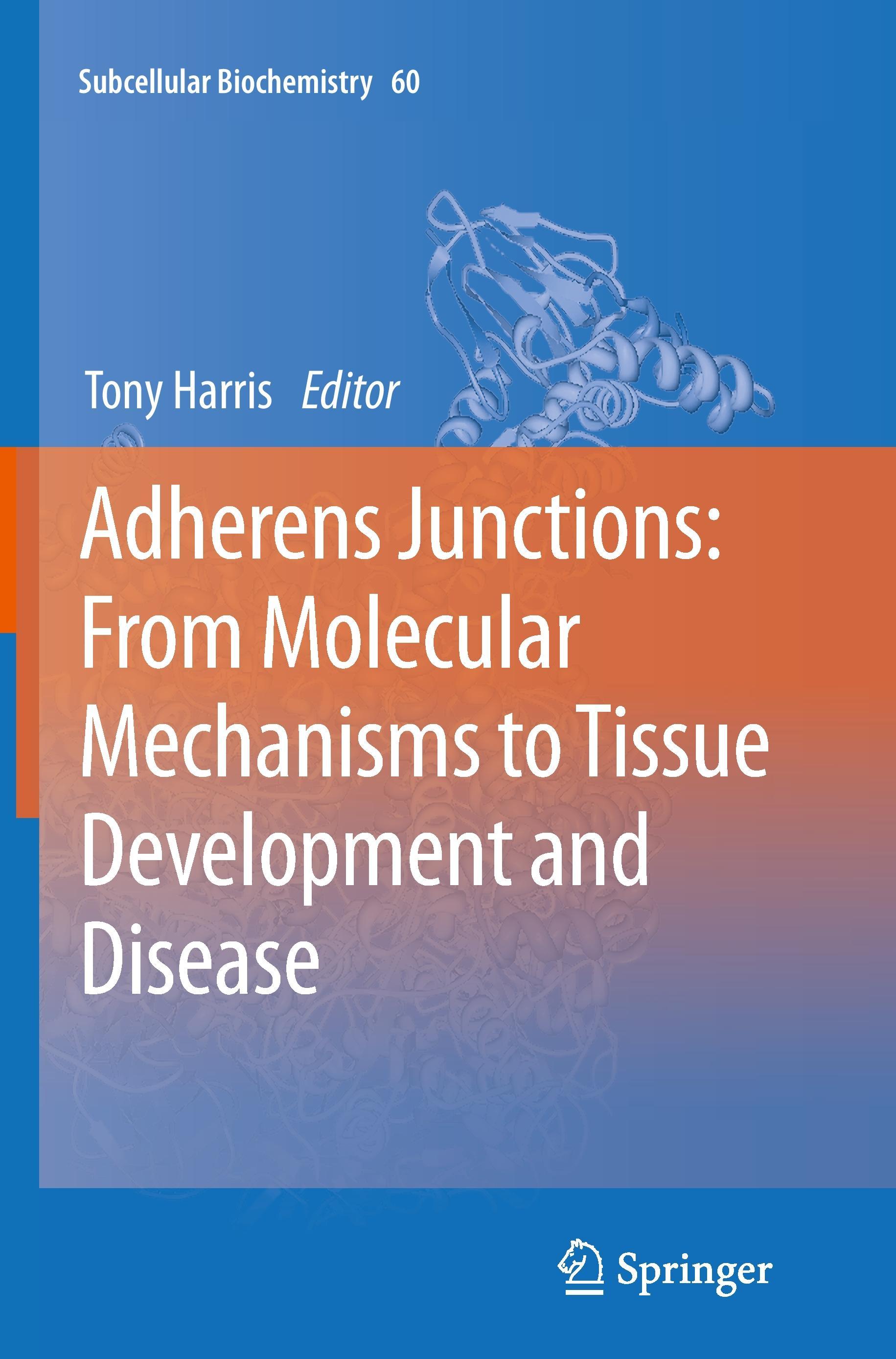 Adherens Junctions: from Molecular Mechanisms to Tissue Development and Disease