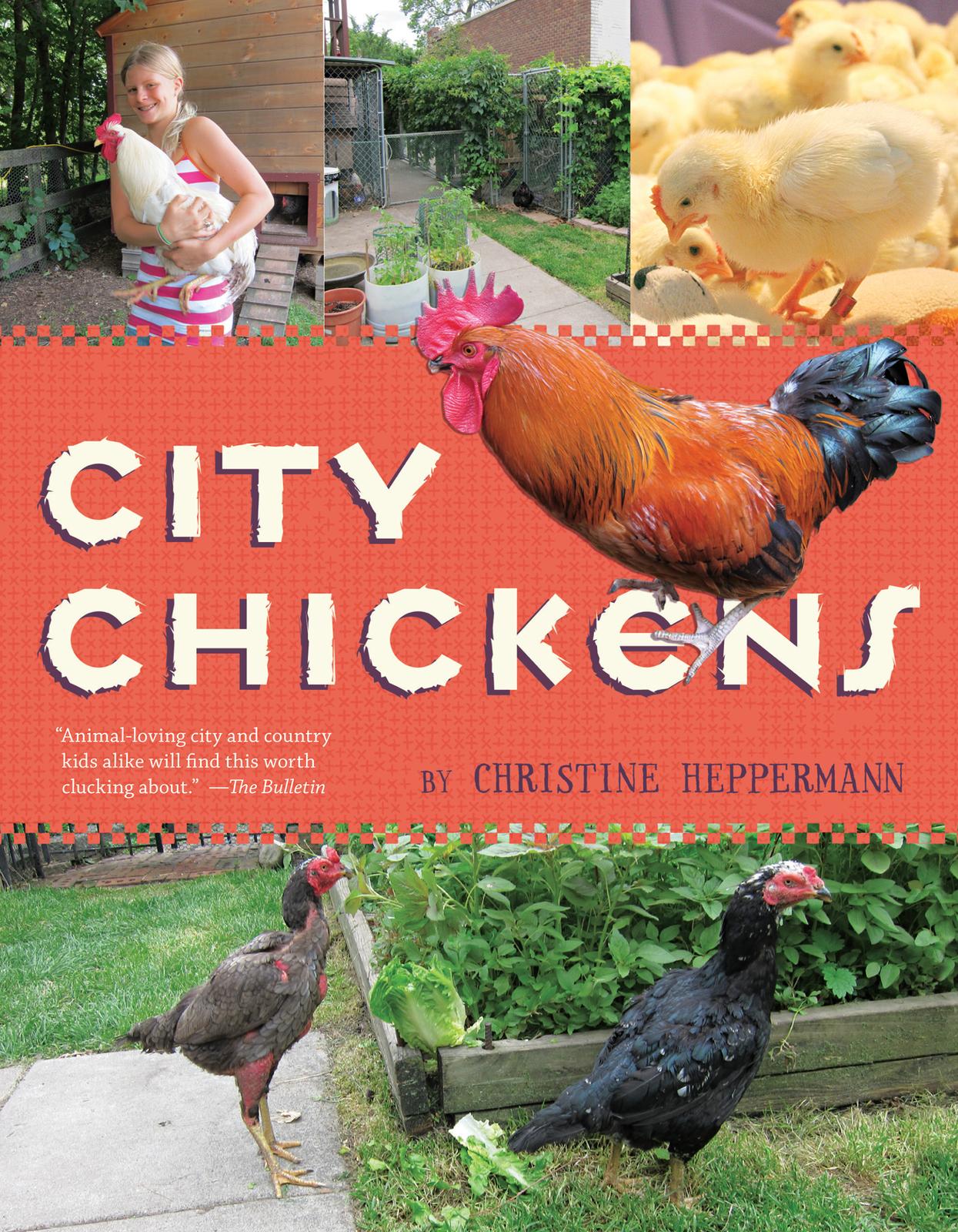 City Chickens