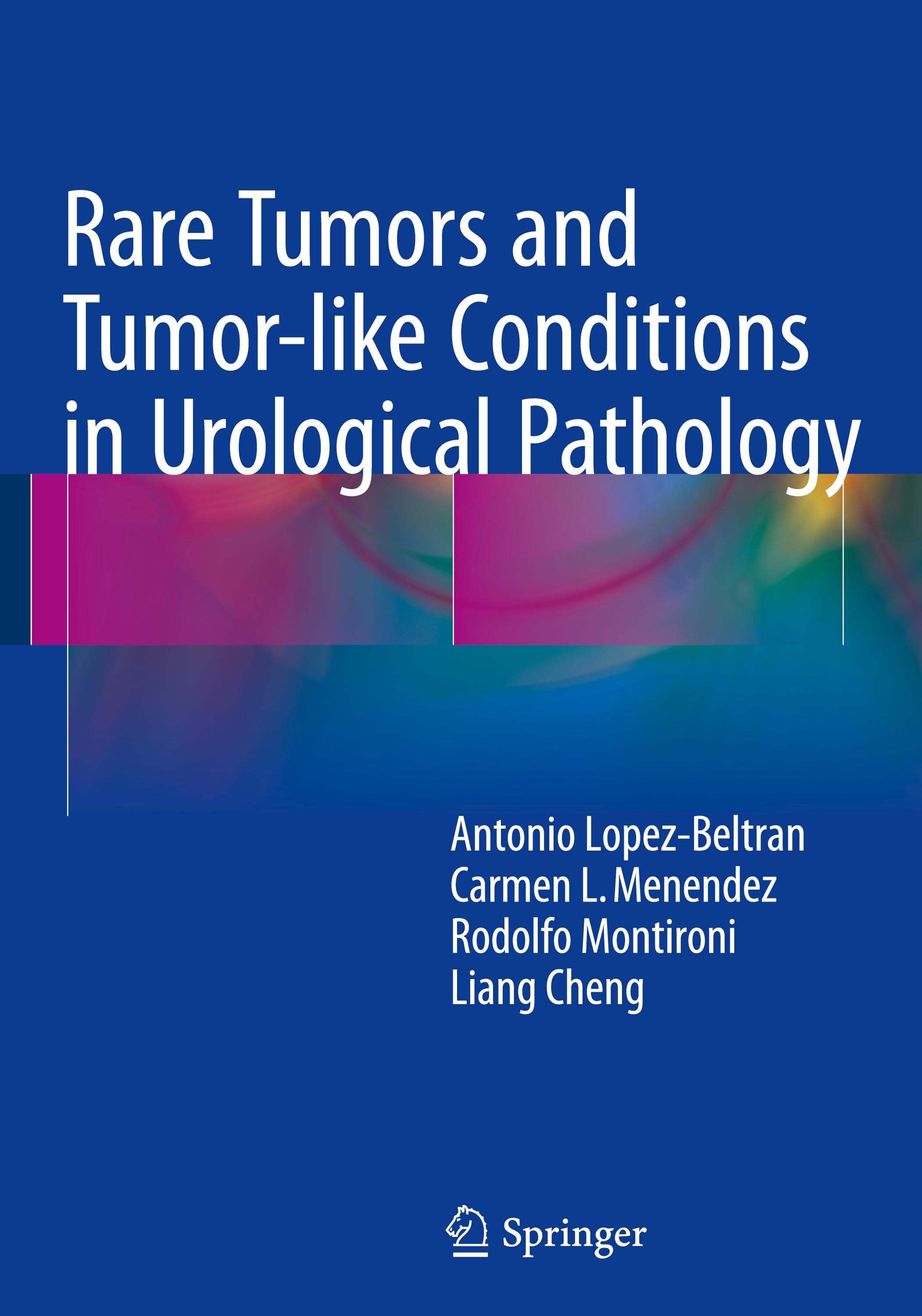 Rare Tumors and Tumor-like Conditions in Urological Pathology