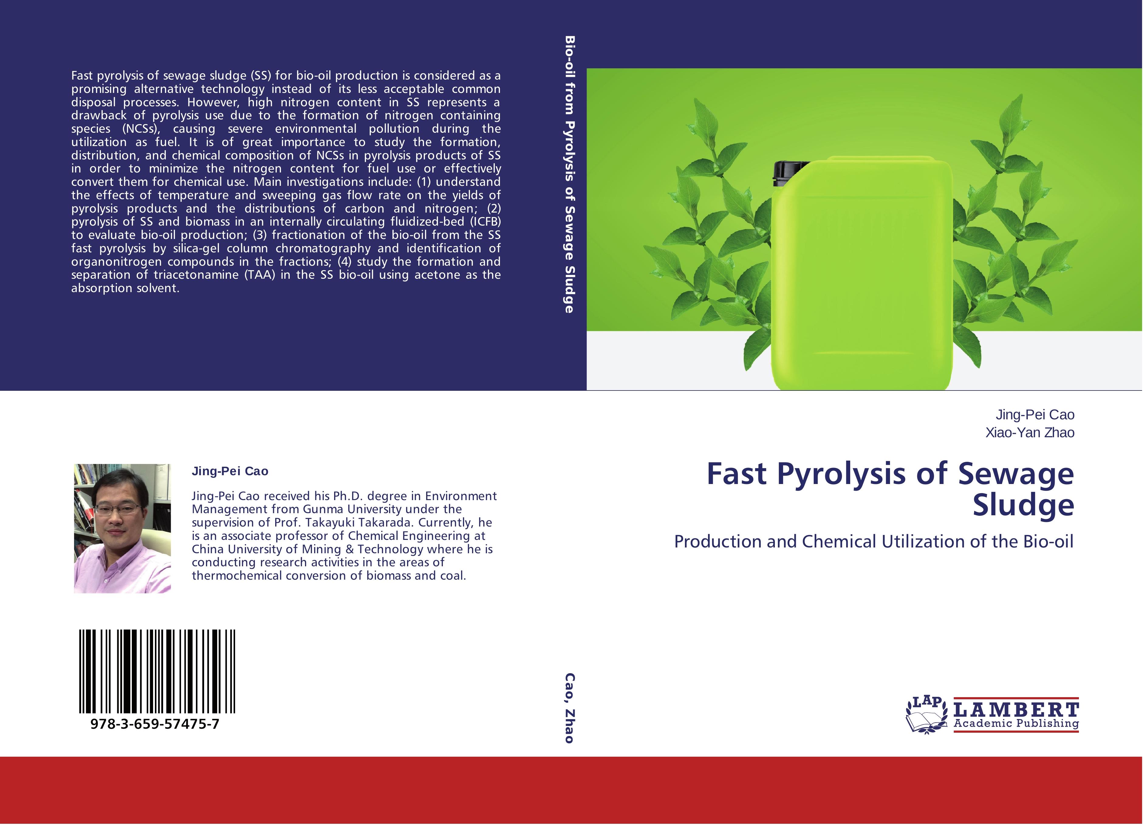 Fast Pyrolysis of Sewage Sludge