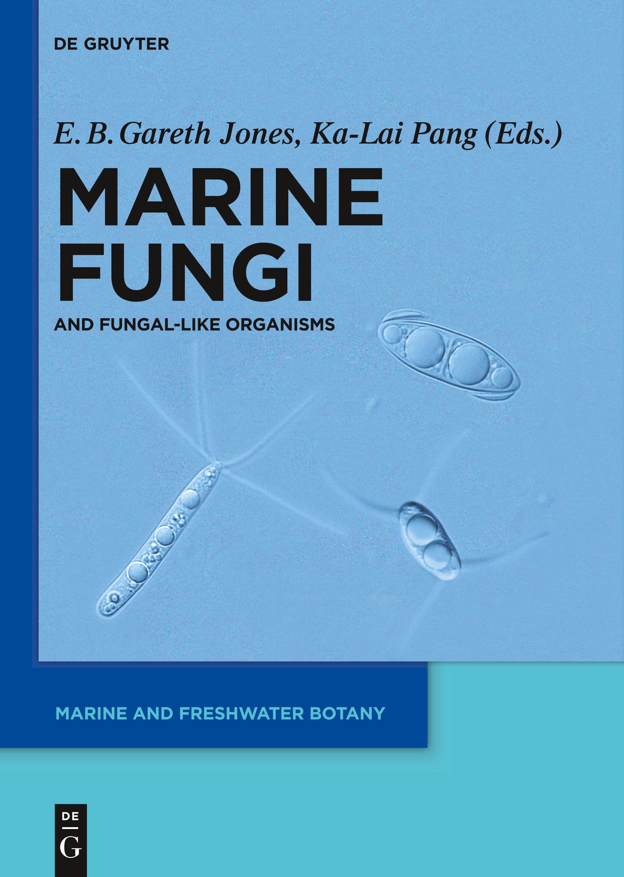 Marine Fungi