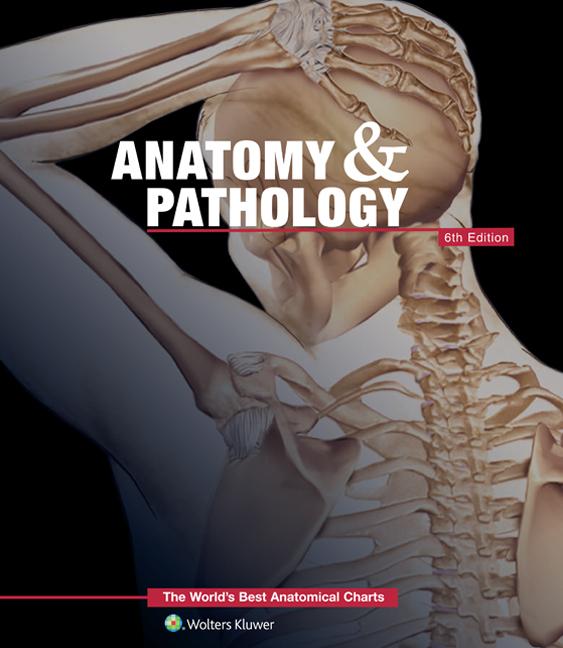 Anatomy & Pathology:The World's Best Anatomical Charts Book