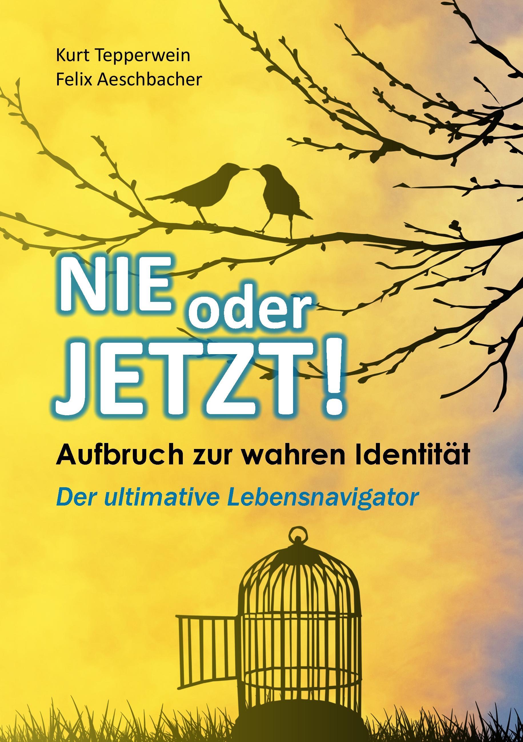 Nie oder Jetzt!  Aufbruch zur wahren Identität