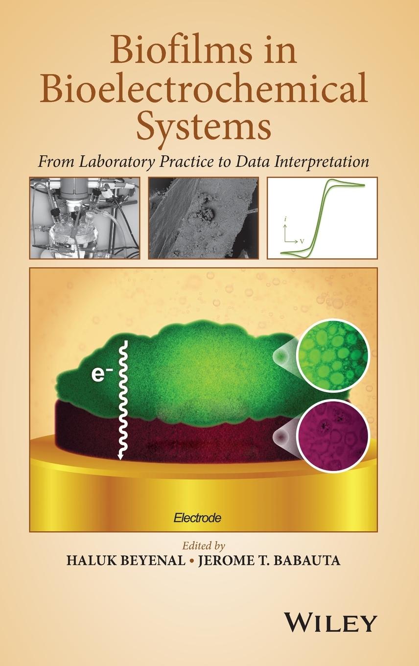 Biofilms in Bioelectrochemical Systems