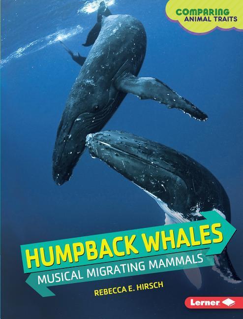 Humpback Whales