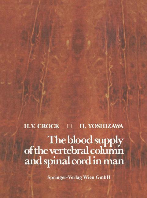 The blood supply of the vertebral column and spinal cord in man