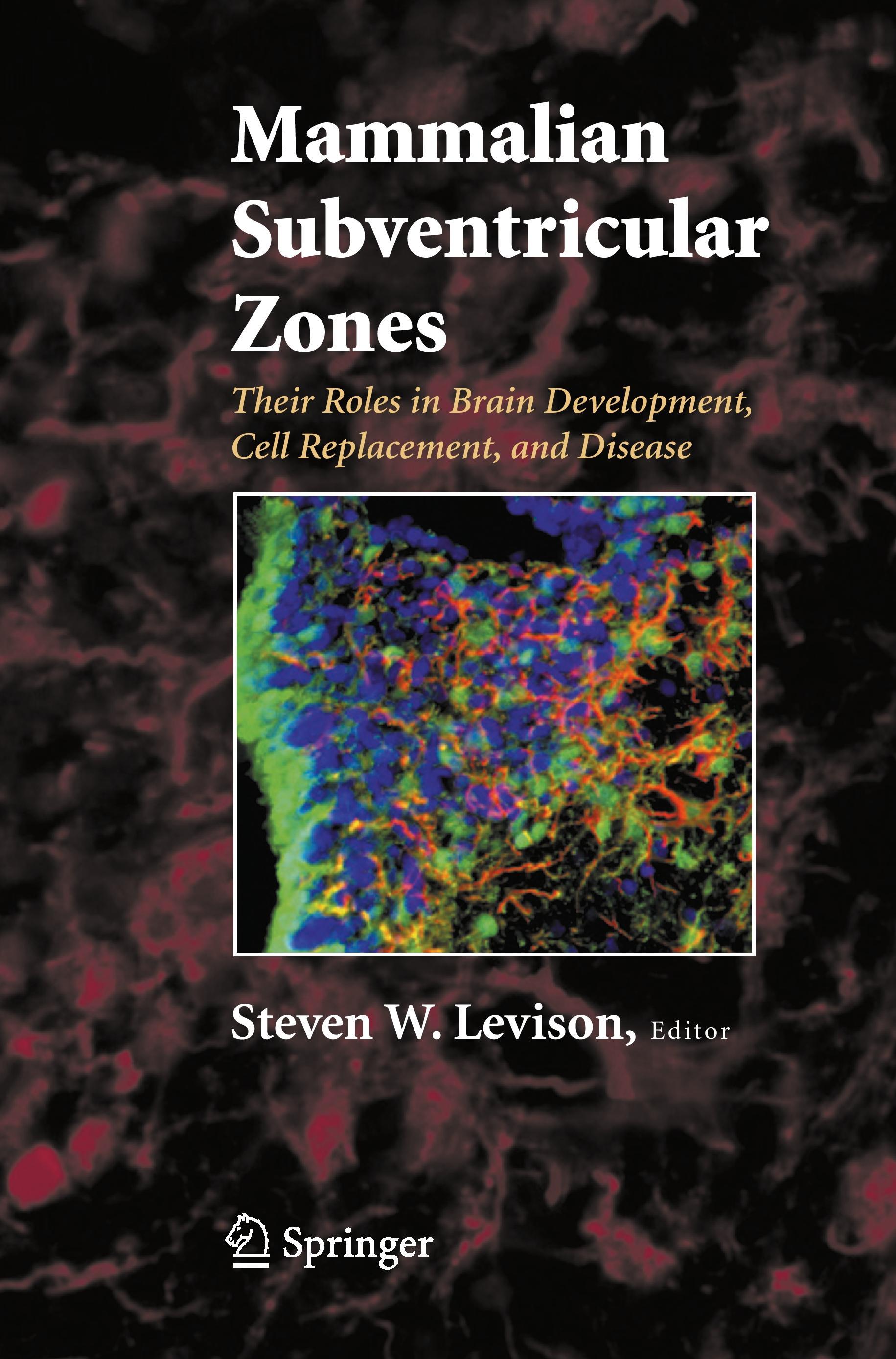 Mammalian Subventricular Zones