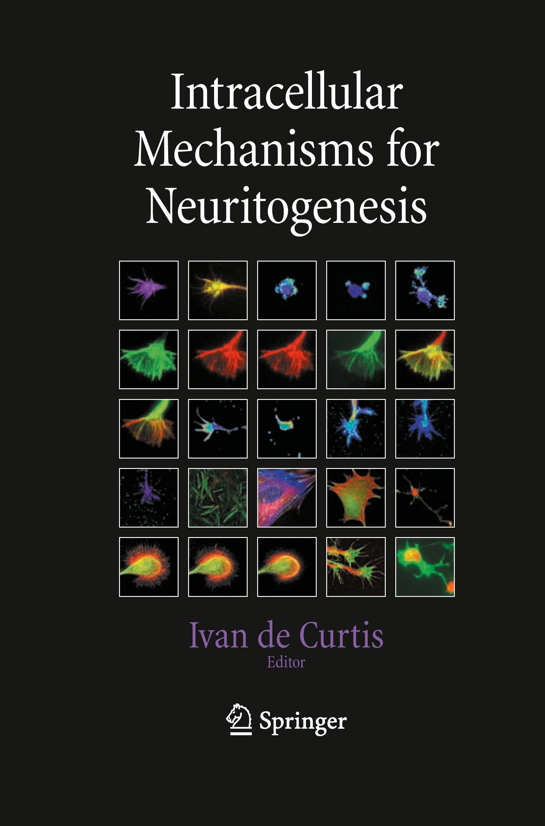 Intracellular Mechanisms for Neuritogenesis