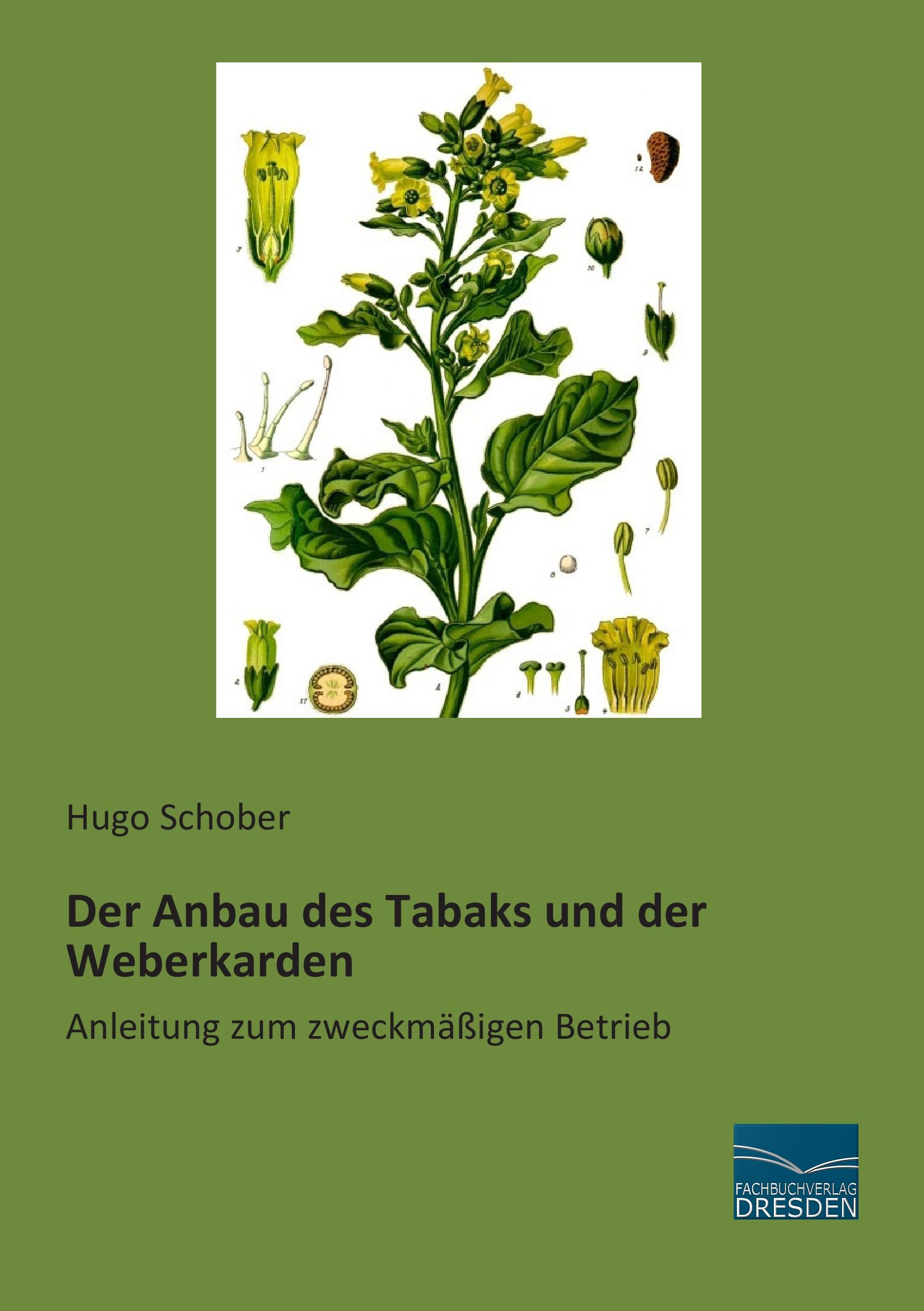 Der Anbau des Tabaks und der Weberkarden