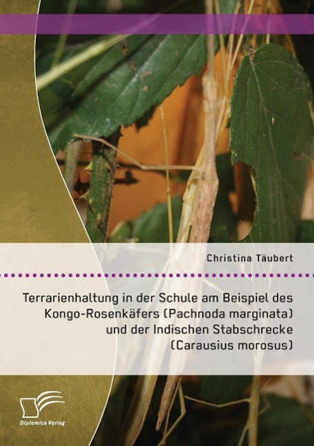 Terrarienhaltung in der Schule am Beispiel des Kongo-Rosenkäfers (Pachnoda marginata) und der Indischen Stabschrecke (Carausius morosus)