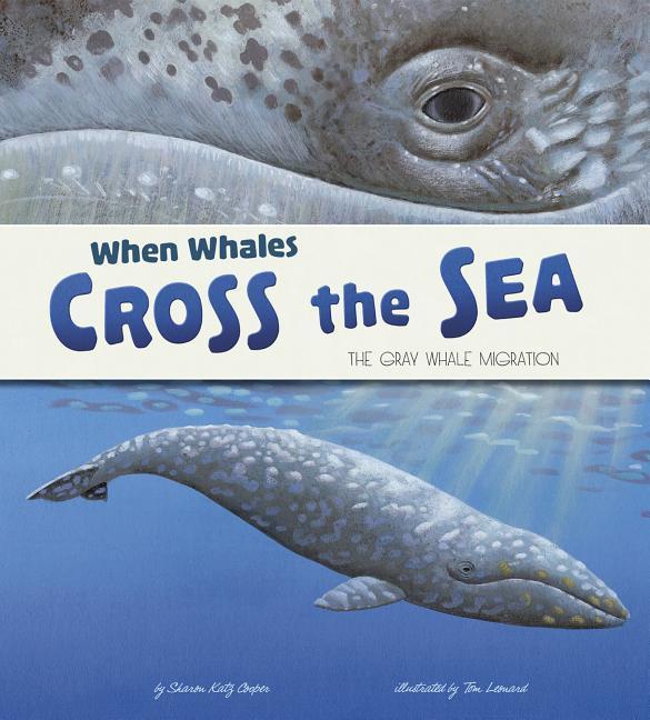 When Whales Cross the Sea: The Gray Whale Migration