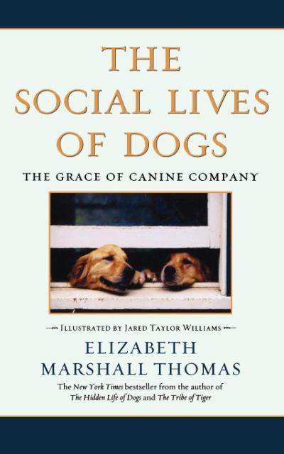 The Social Lives of Dogs