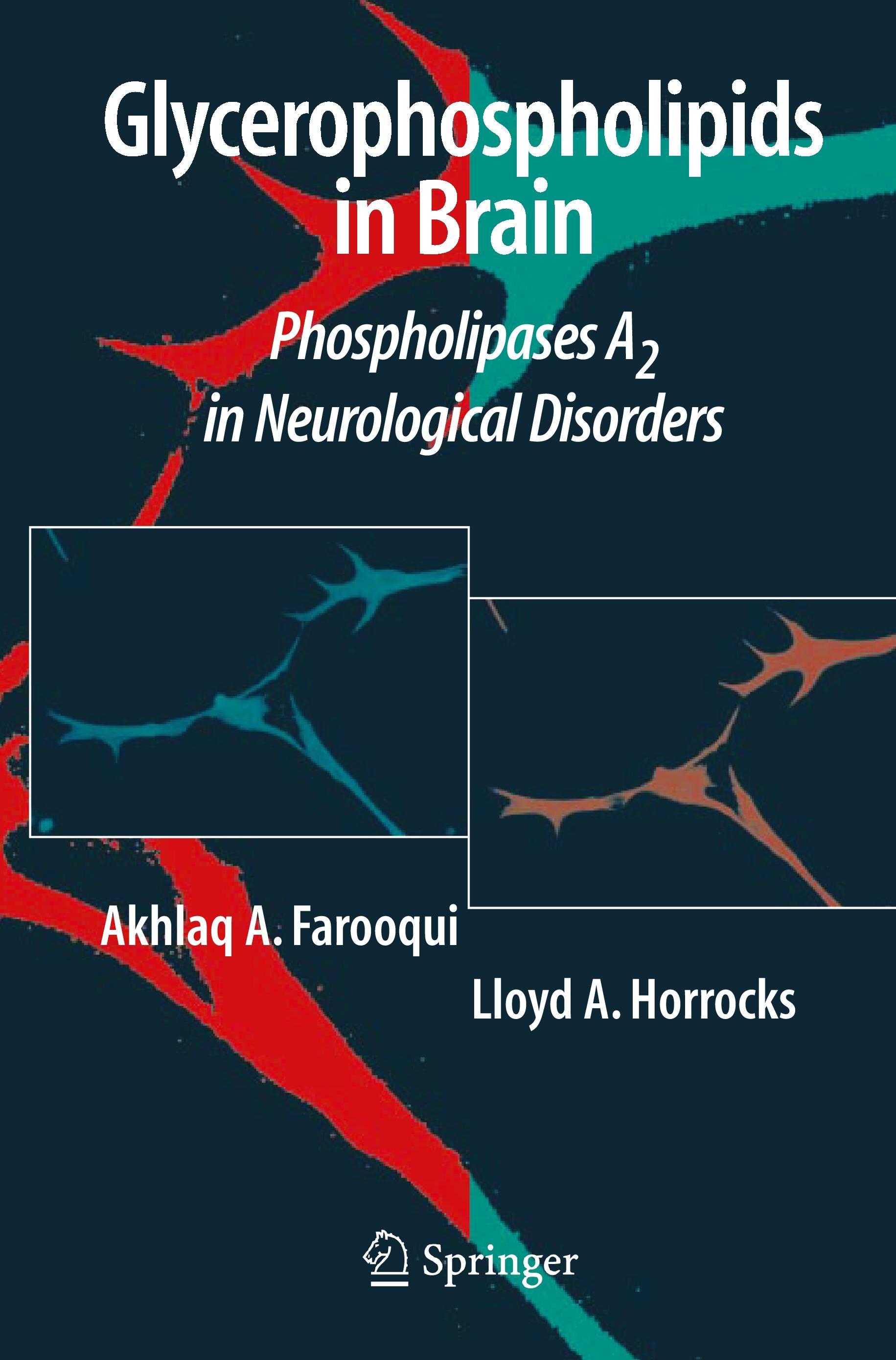 Glycerophospholipids in the Brain