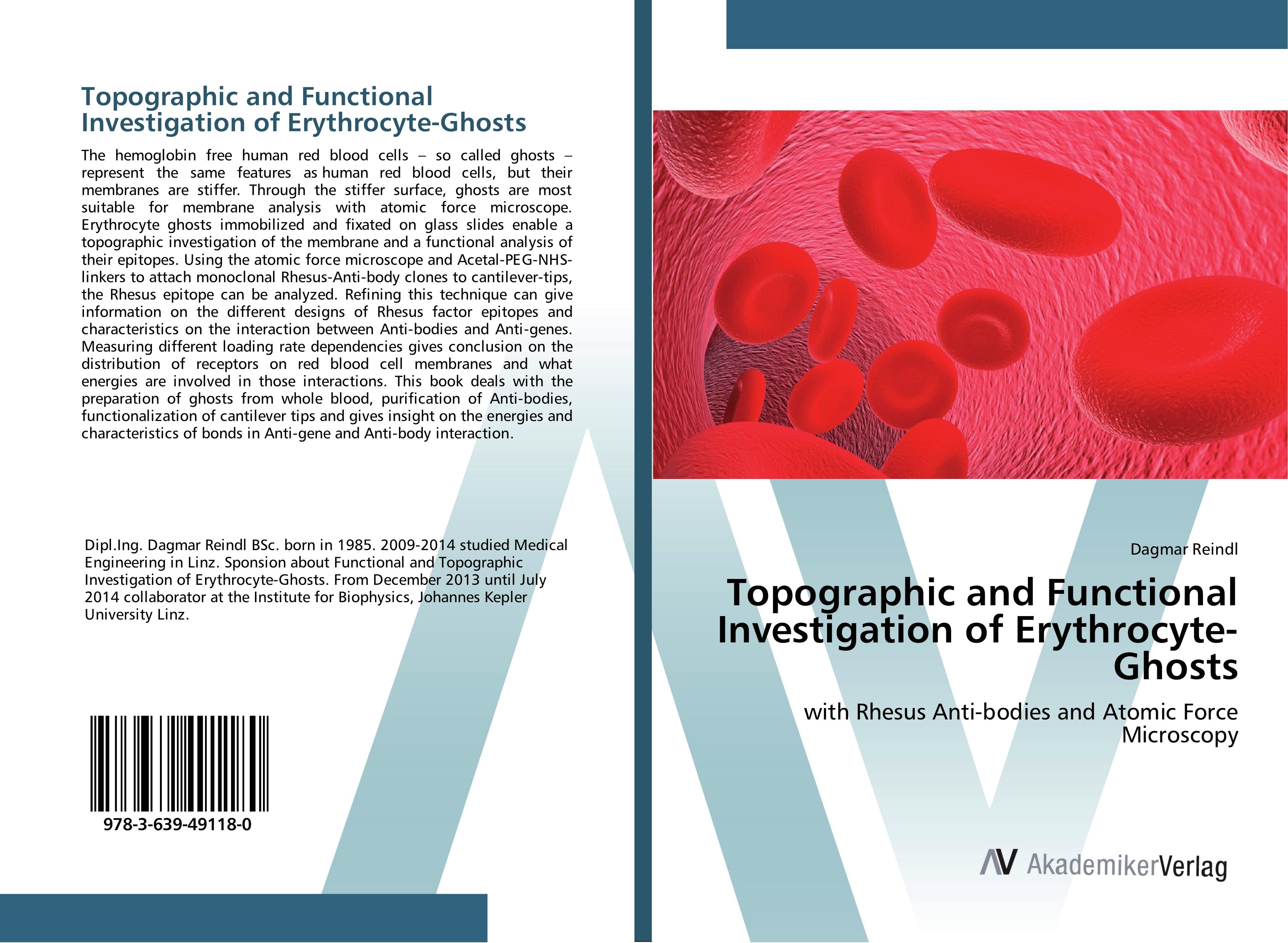 Topographic and Functional Investigation of Erythrocyte-Ghosts