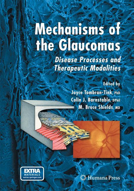 Mechanisms of the Glaucomas