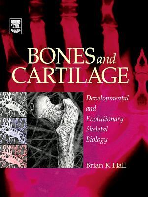 Bones and Cartilage