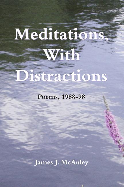 Meditations, with Distractions