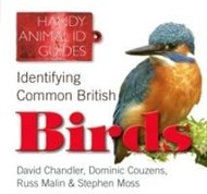 Identifying Common British Birds