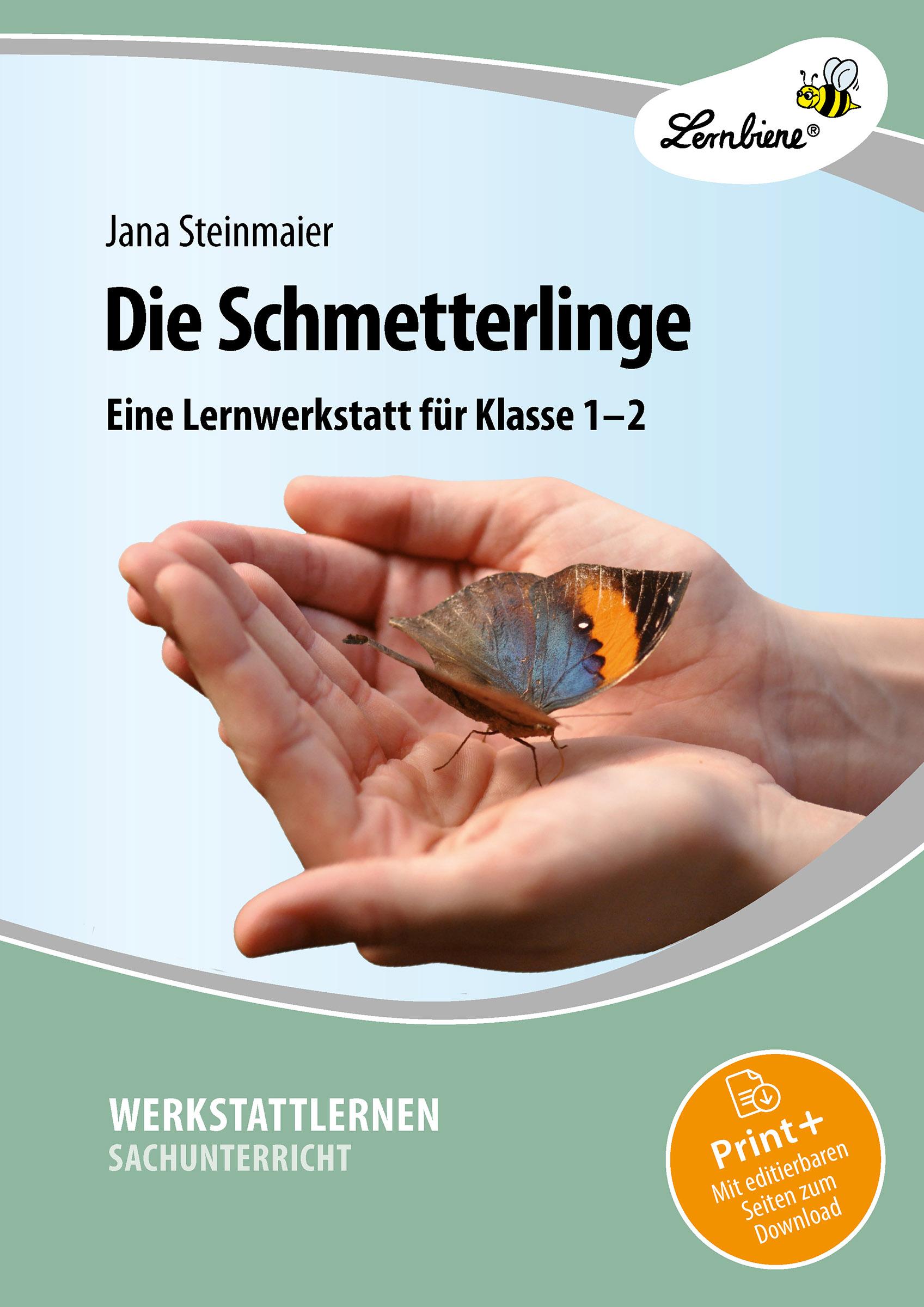 Die Schmetterlinge. Grundschule, Sachunterricht, Klasse 1-2