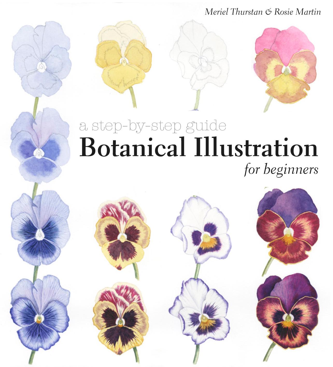 Botanical Illustration for Beginners