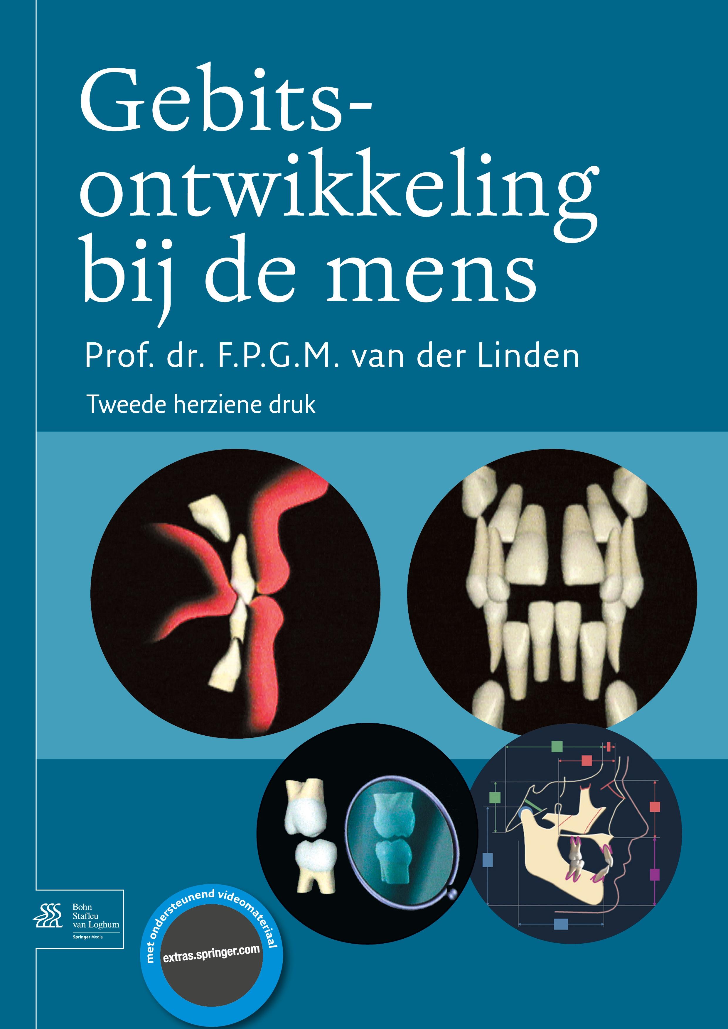 Gebitsontwikkeling bij de mens