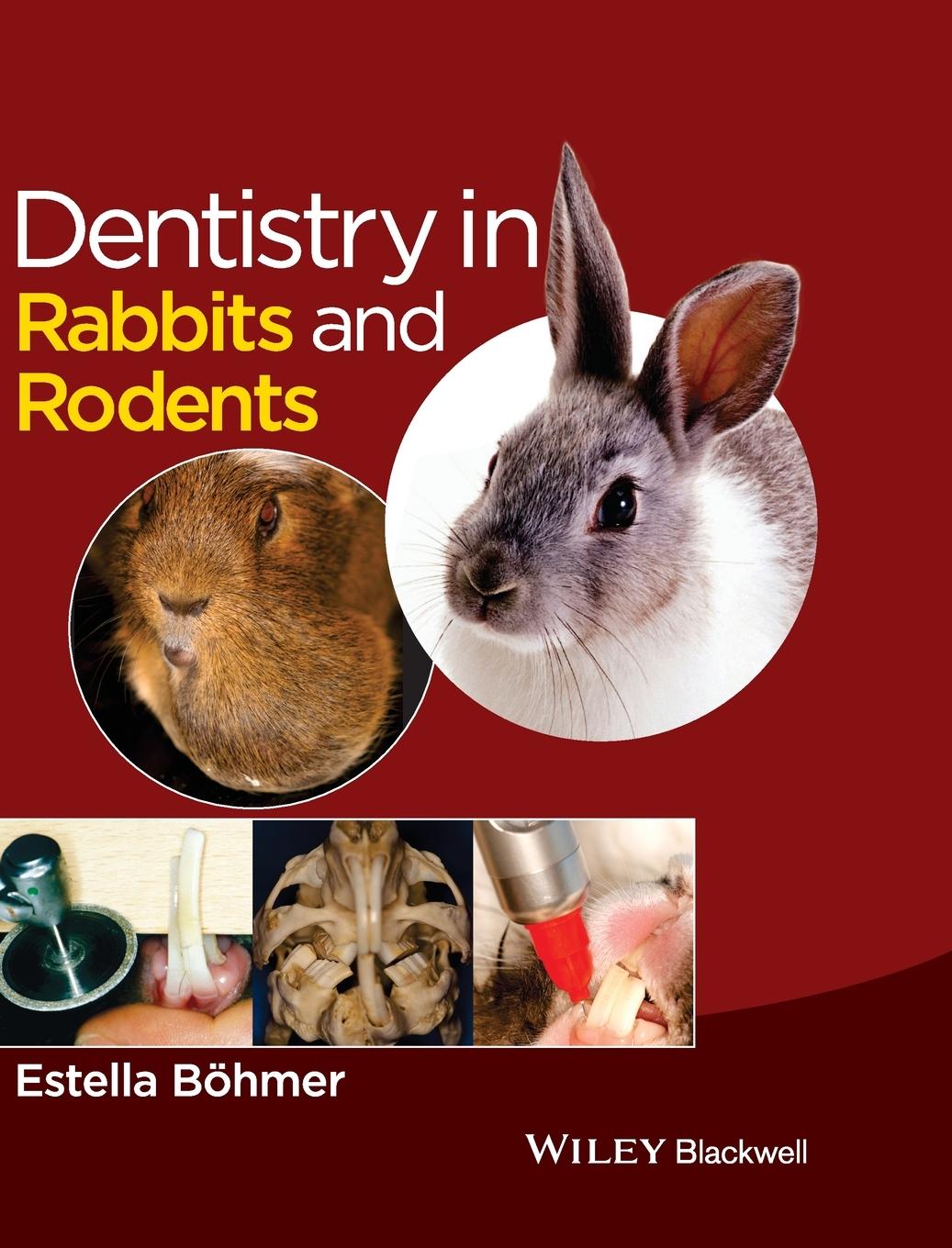 Dentistry in Rabbits and Rodents