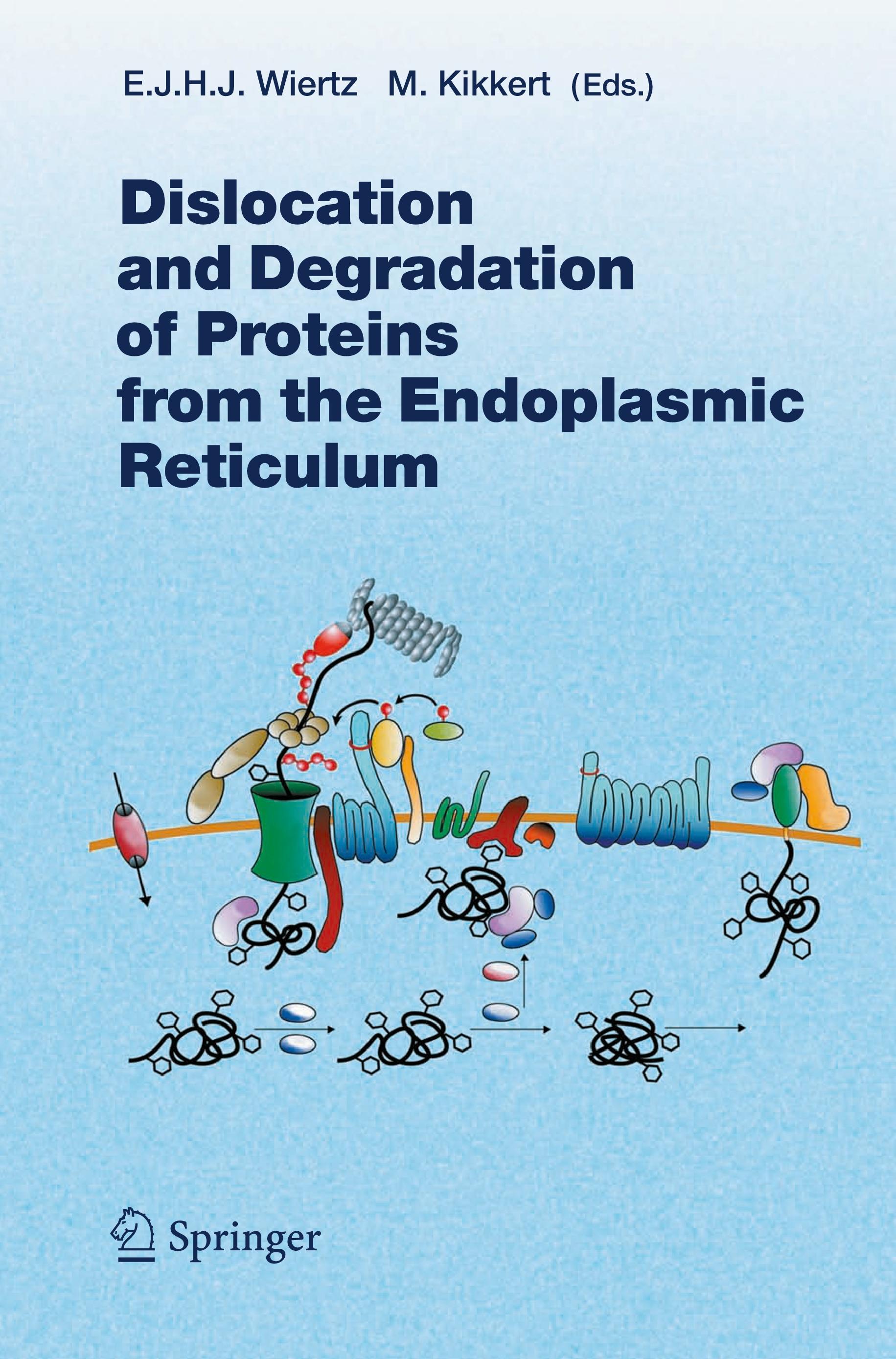 Dislocation and Degradation of Proteins from the Endoplasmic Reticulum