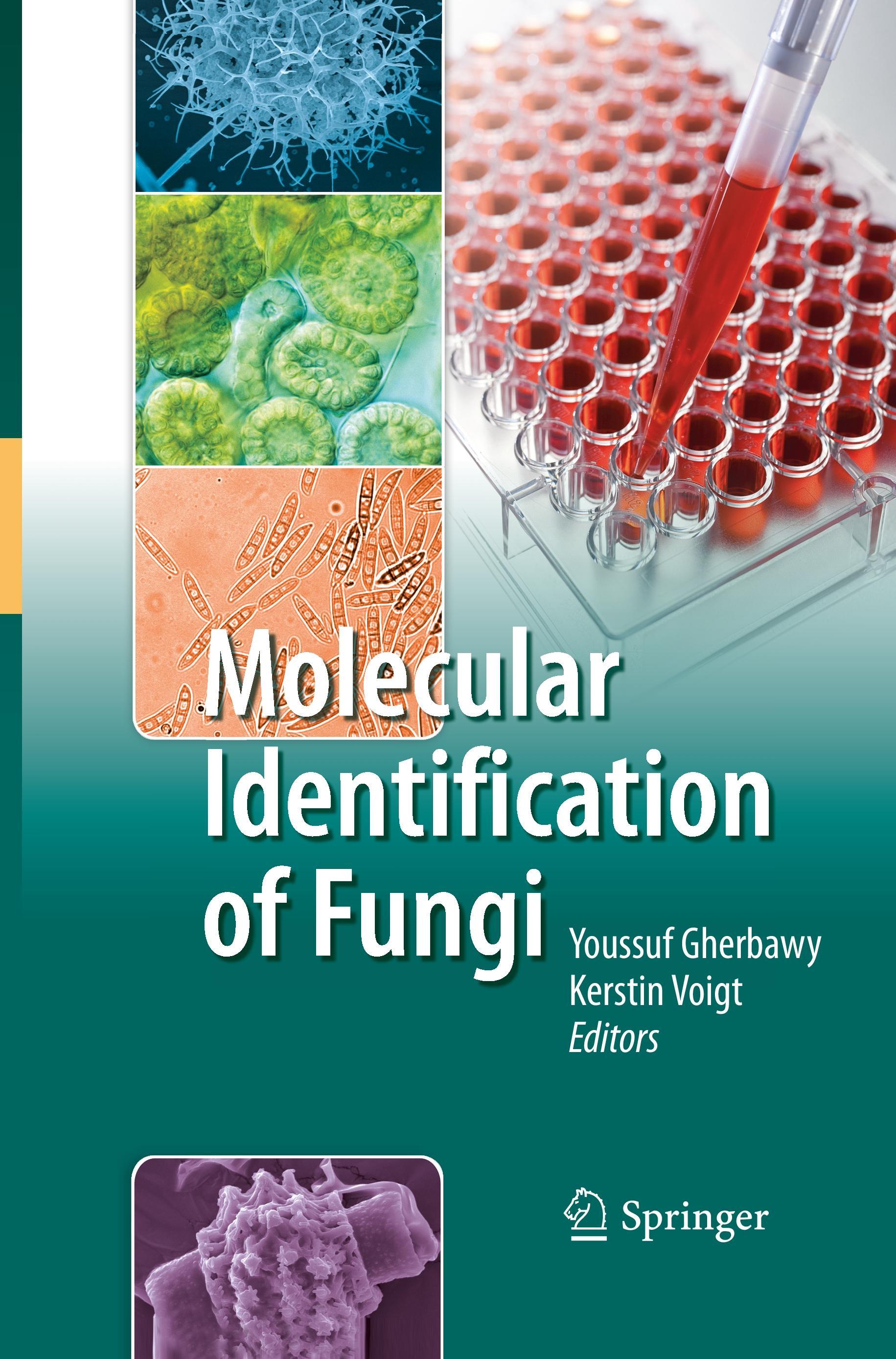 Molecular Identification of Fungi