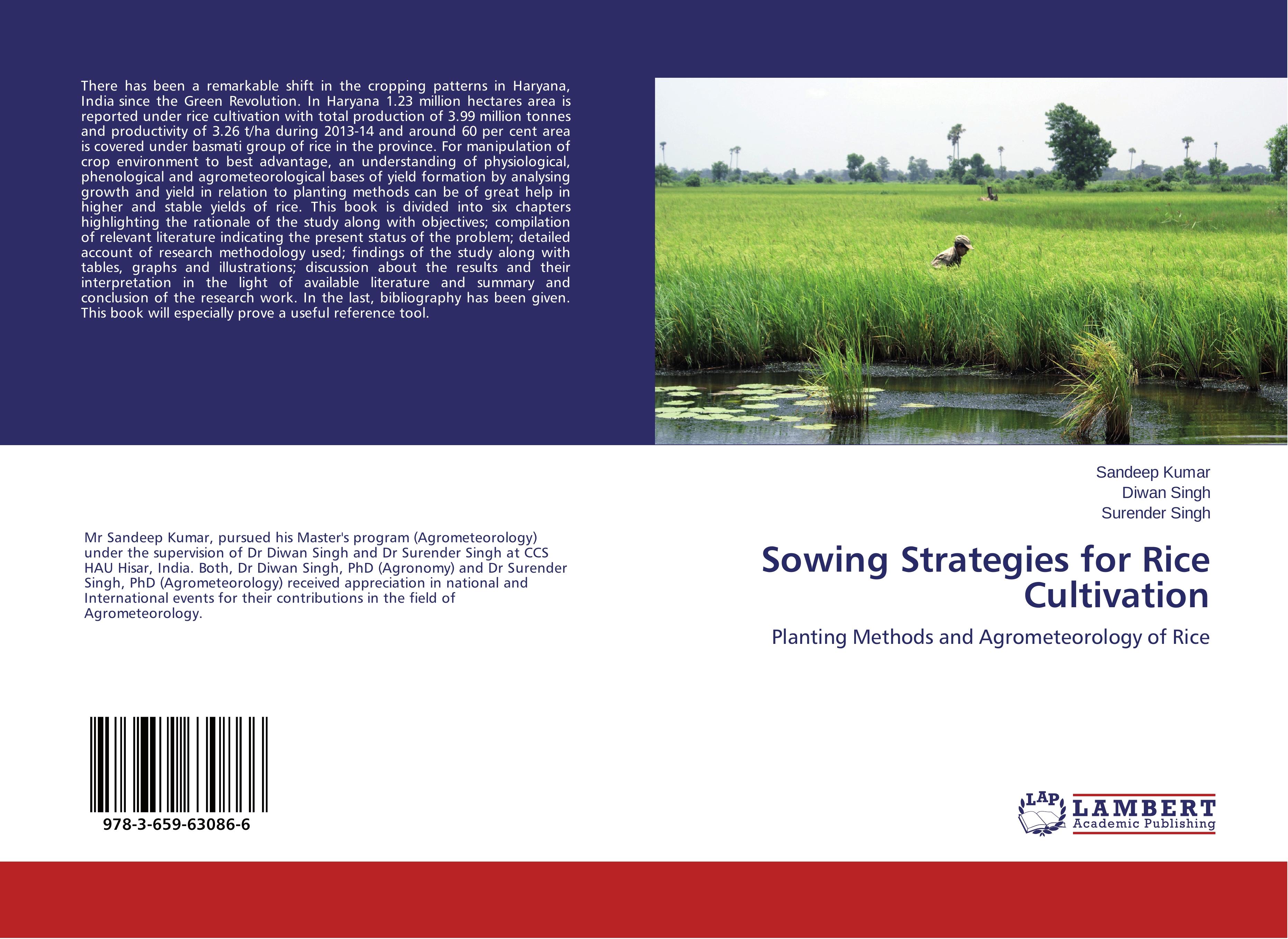 Sowing Strategies for Rice Cultivation