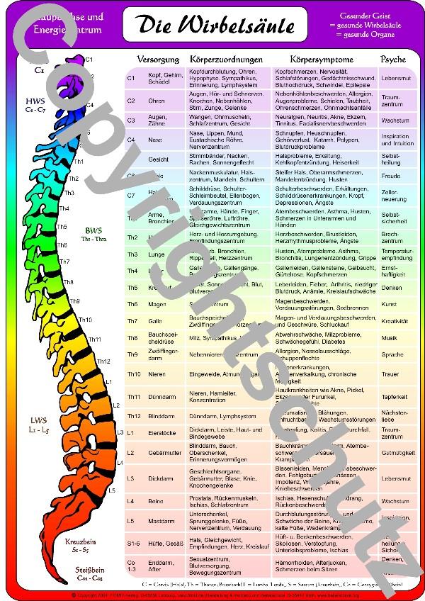 Wirbelsäulenzuordnungen - A3