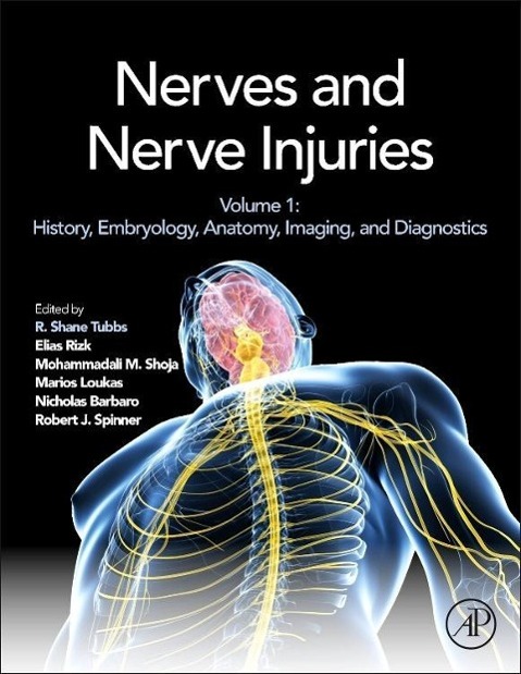 Nerves and Nerve Injuries