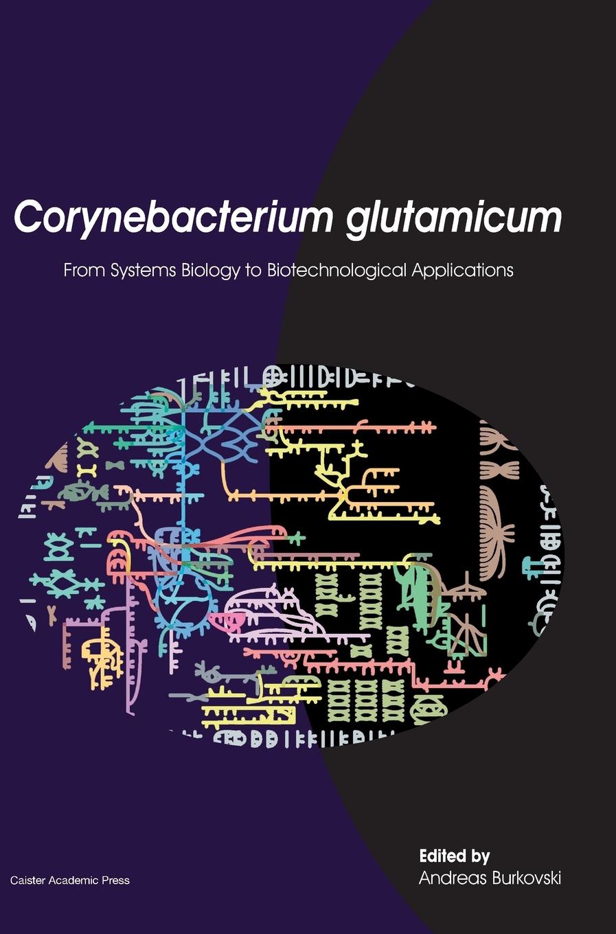 Corynebacterium Glutamicum