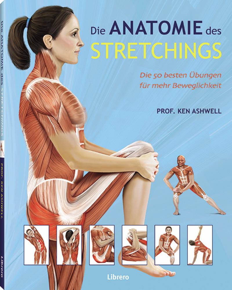 Das Anatomie-Buch der Stretch Übungen