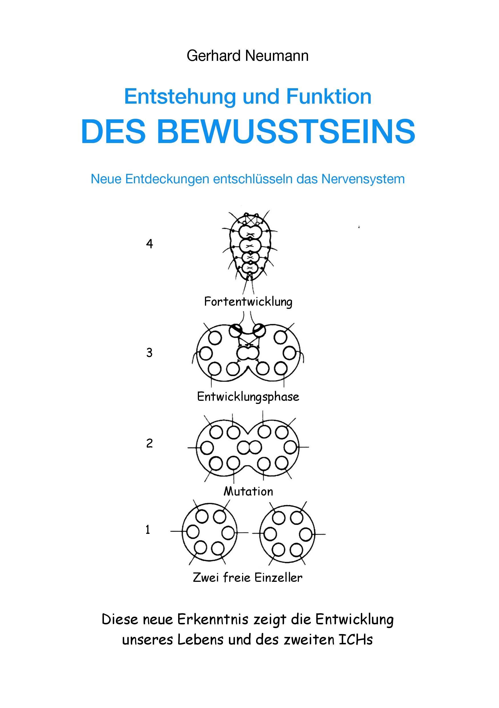 Entstehung und Funktion des Bewusstseins