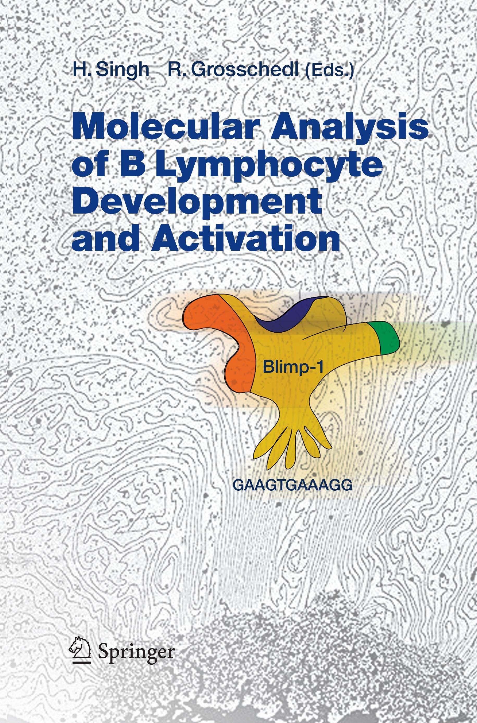 Molecular Analysis of B Lymphocyte Development and Activation