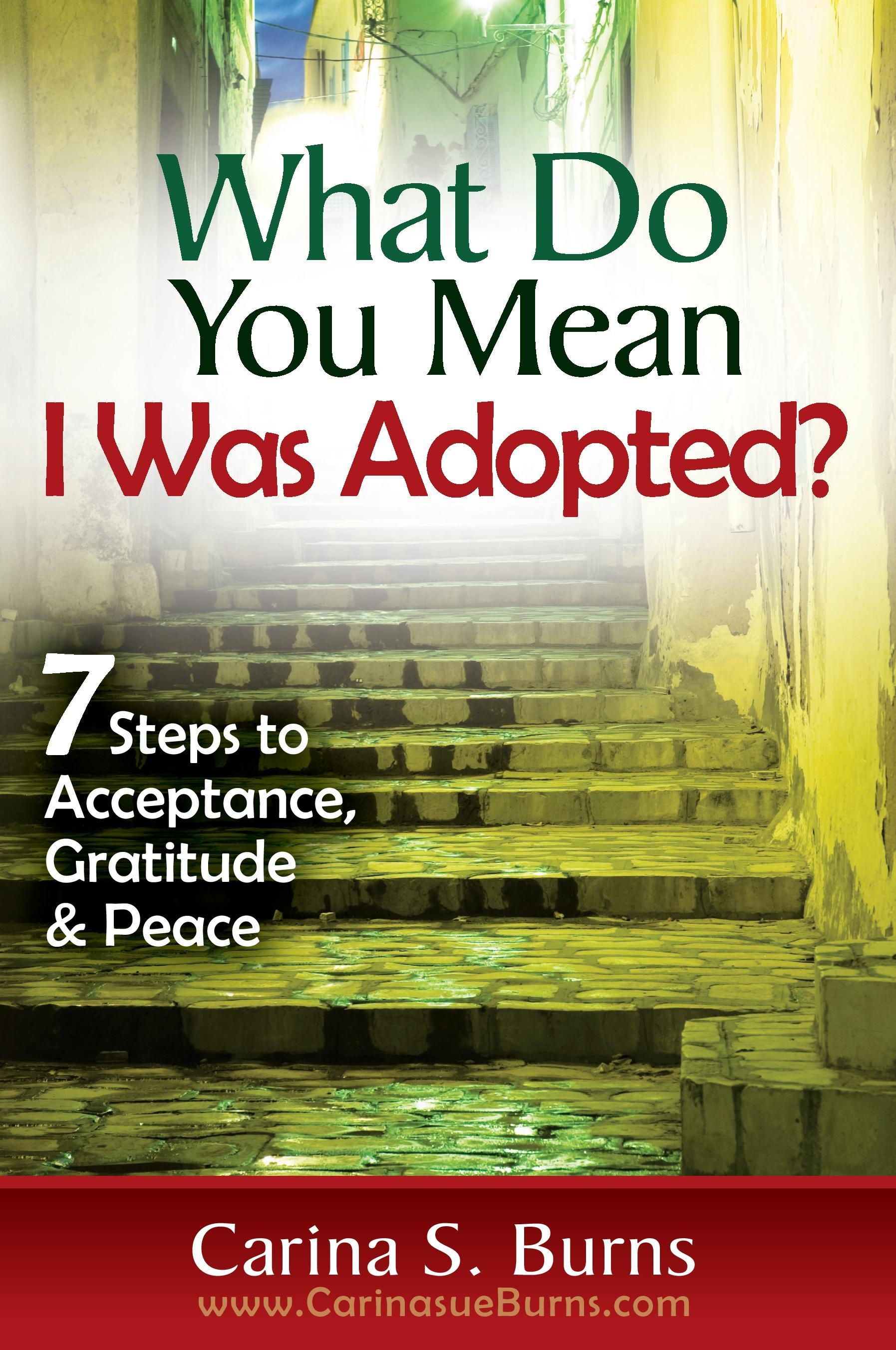 What Do You Mean I Was Adopted?   7 Steps to Acceptance, Gratitude & Peace