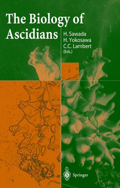 The Biology of Ascidians