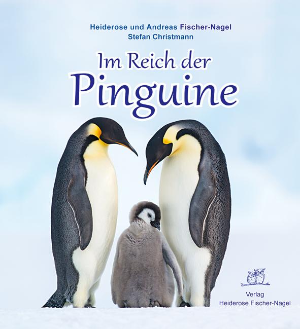 Im Reich der Pinguine