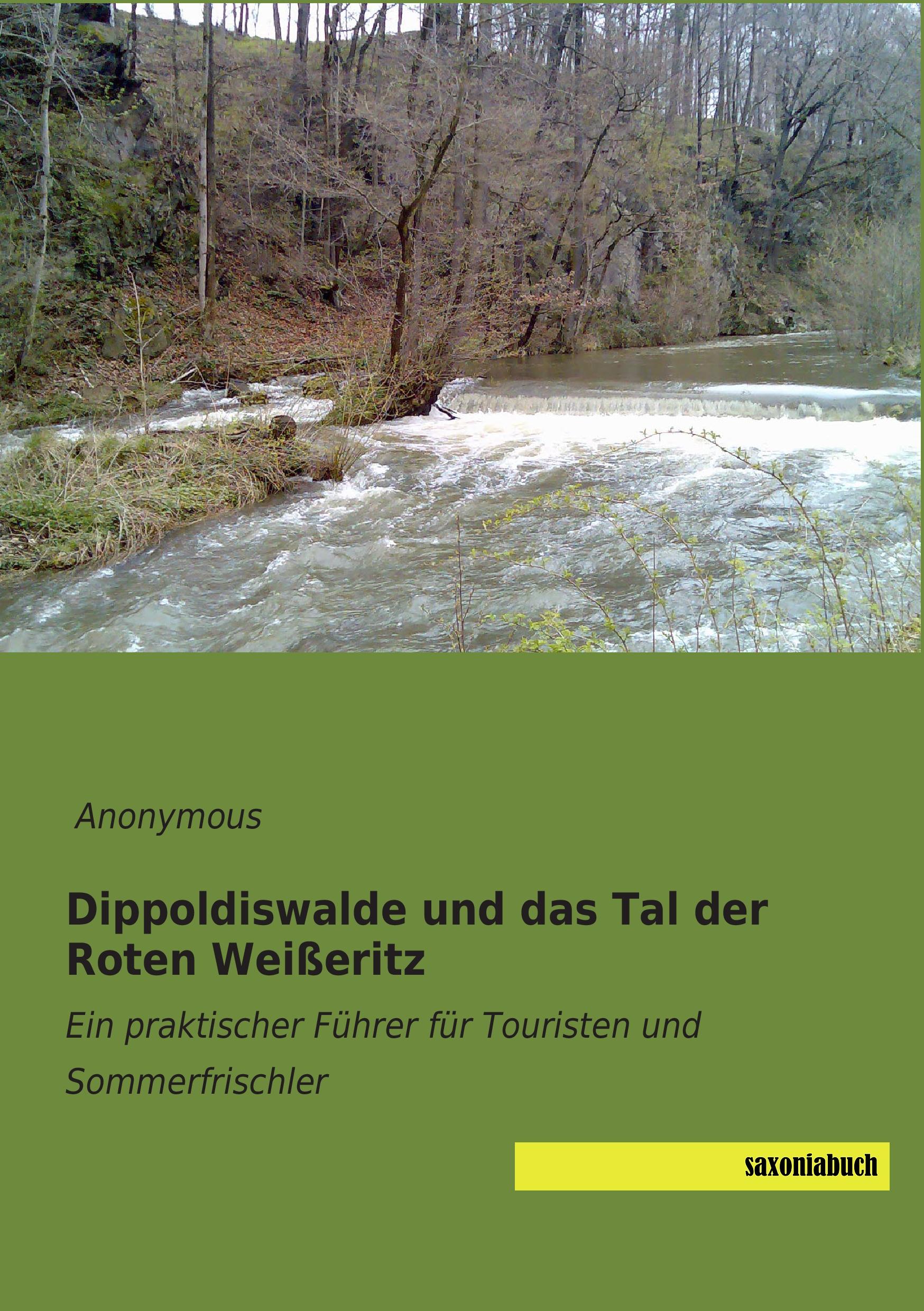 Dippoldiswalde und das Tal der Roten Weißeritz