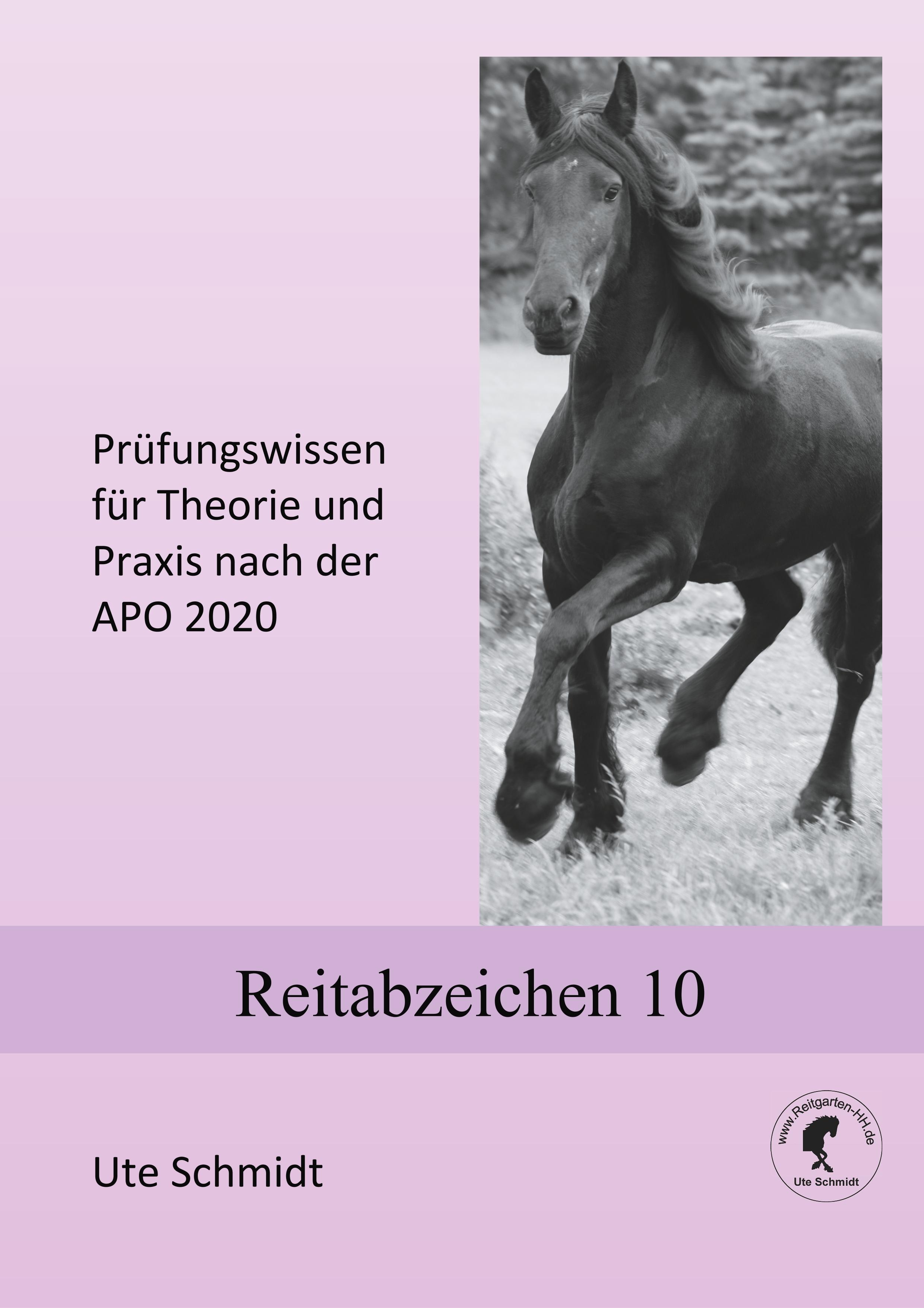 Reitabzeichen 10