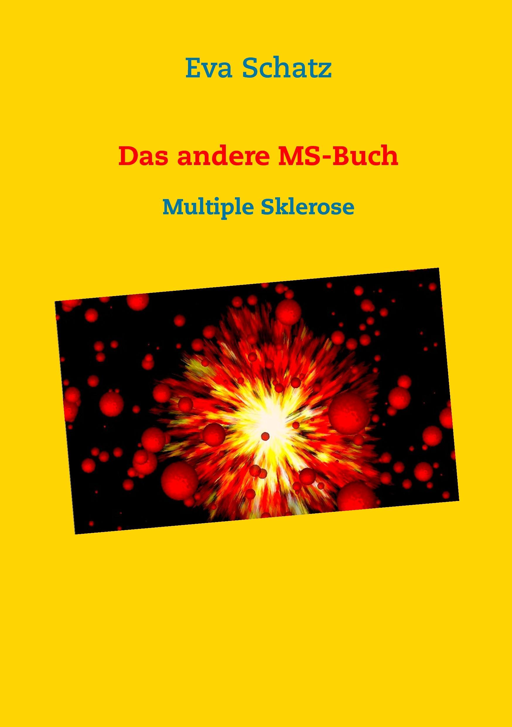 Das andere MS-Buch