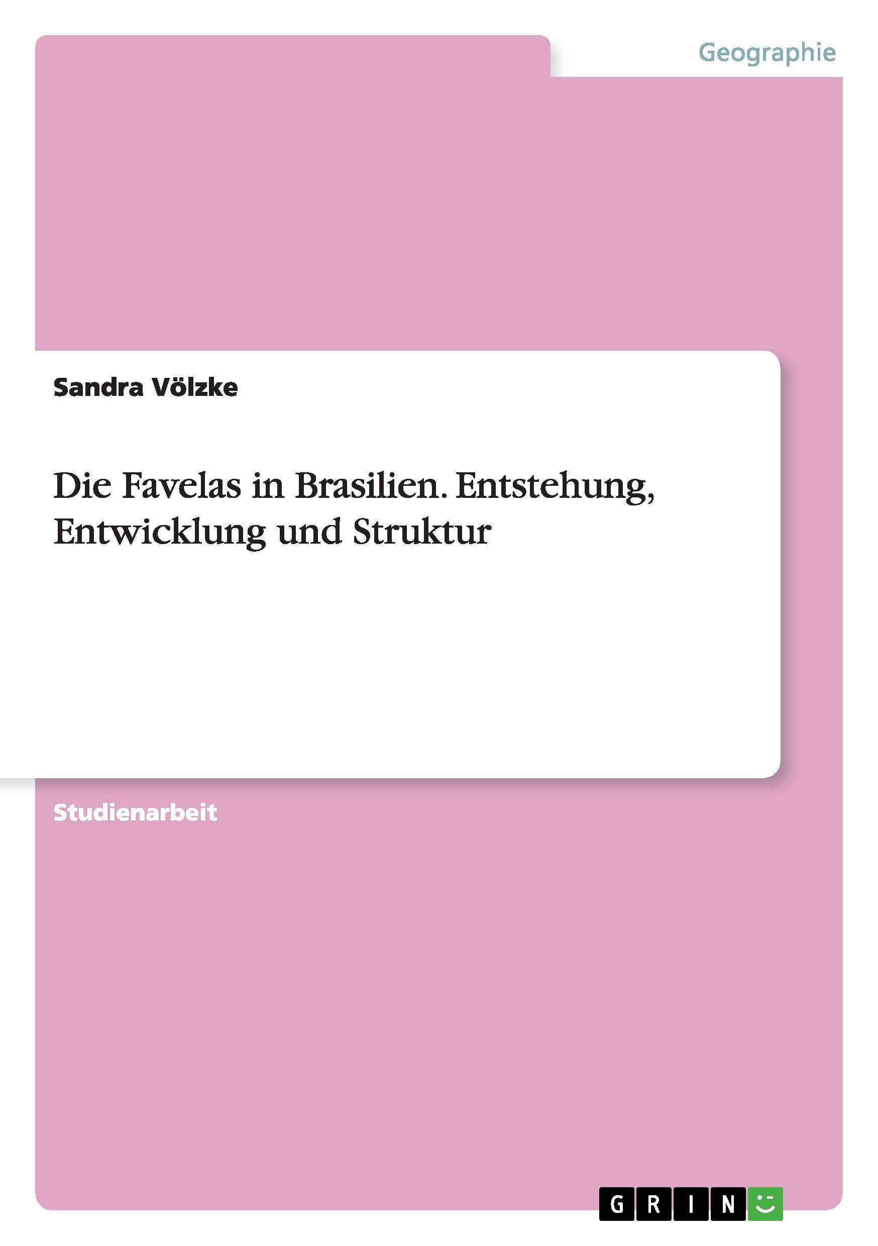 Die Favelas in Brasilien. Entstehung, Entwicklung und Struktur