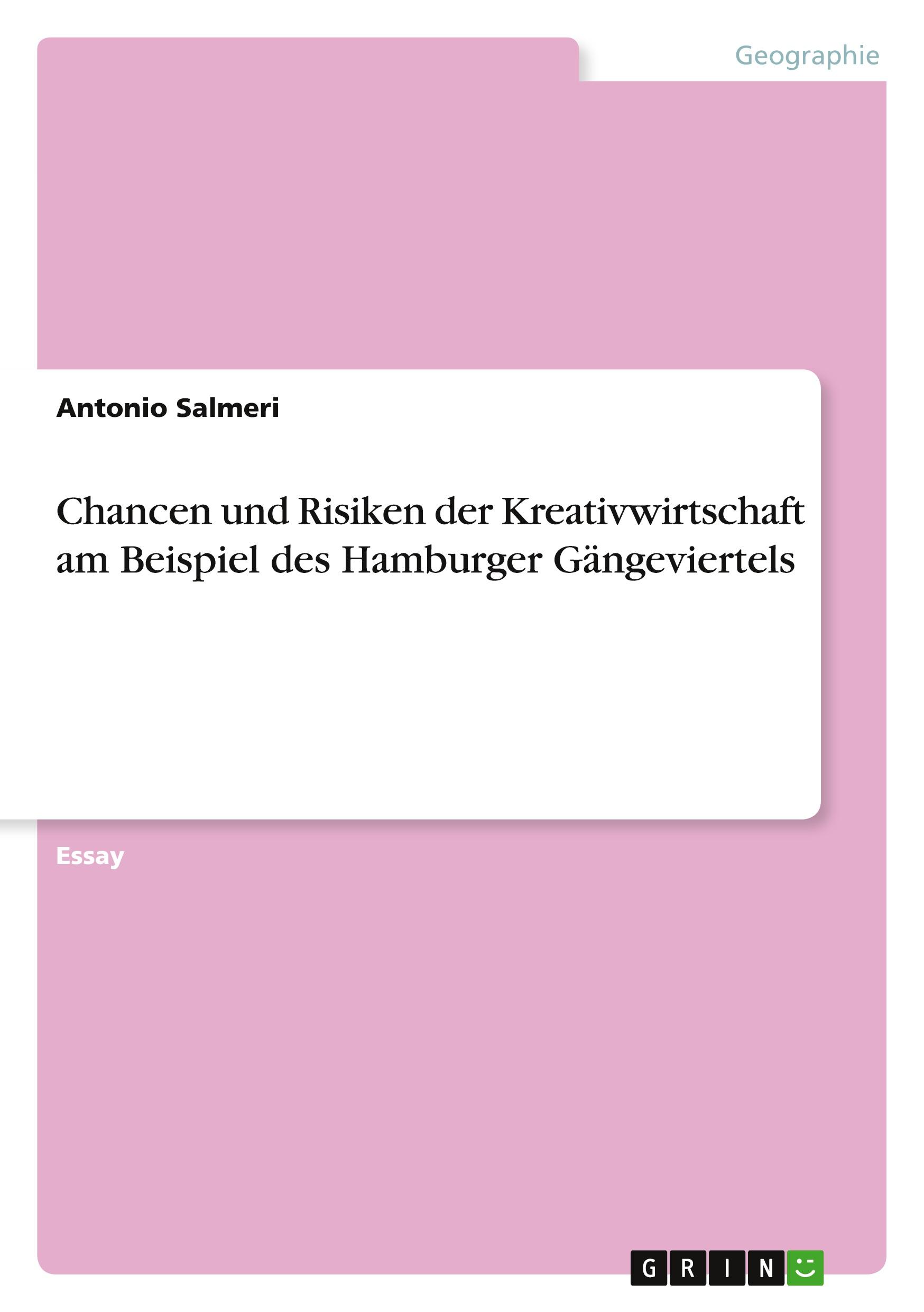 Chancen und Risiken der Kreativwirtschaft am Beispiel des Hamburger Gängeviertels