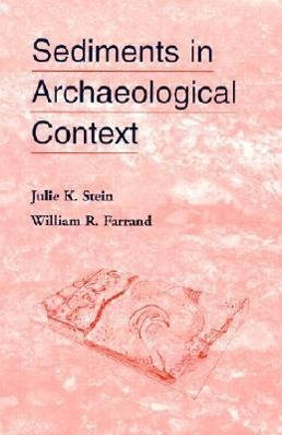 Sediments in Archaeological Context