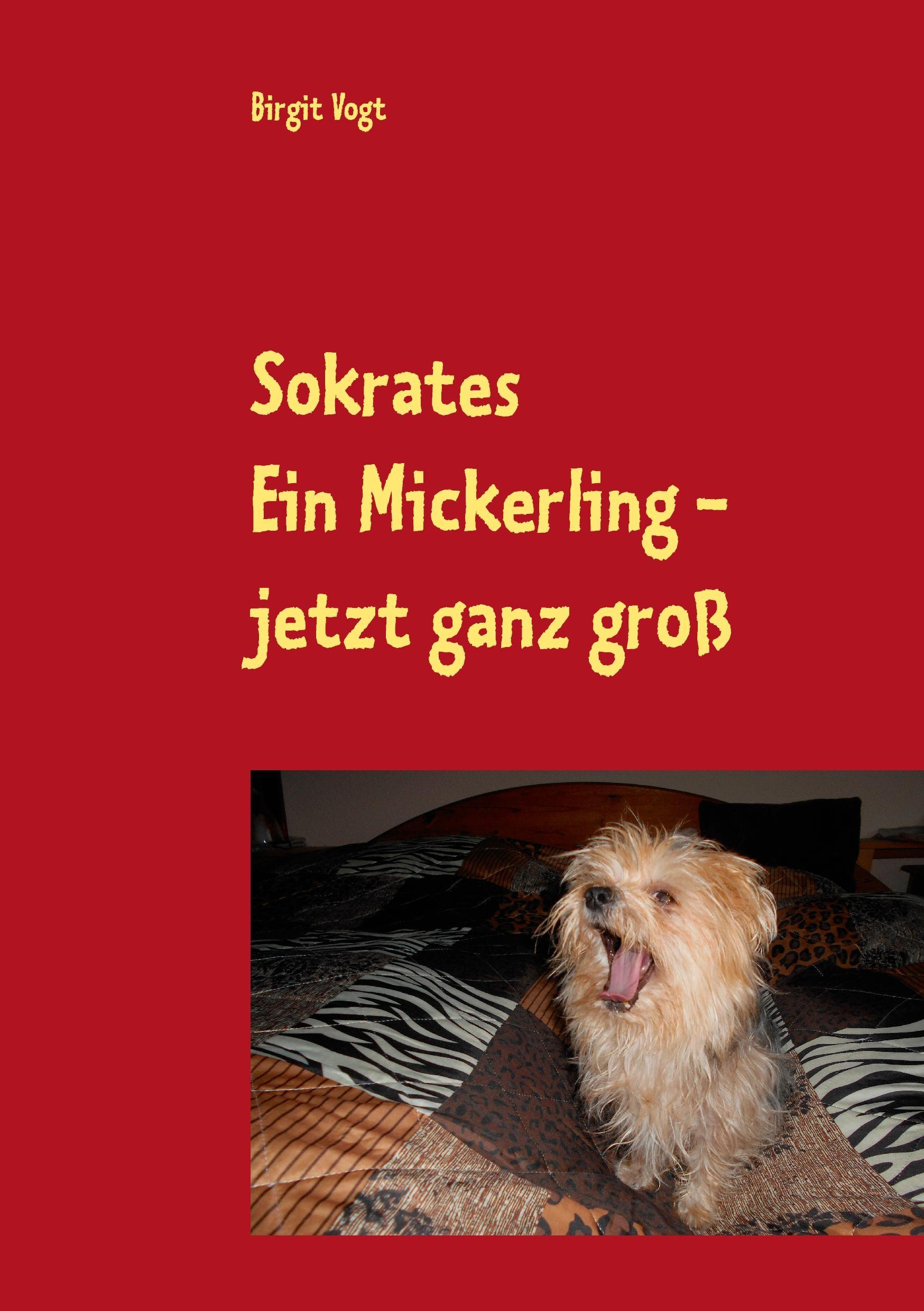 Sokrates  Ein Mickerling - jetzt ganz groß